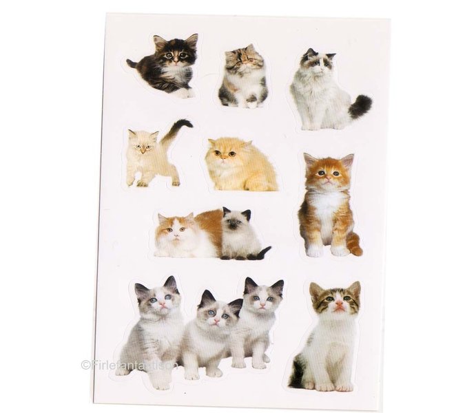 Foto-Sticker Katzen